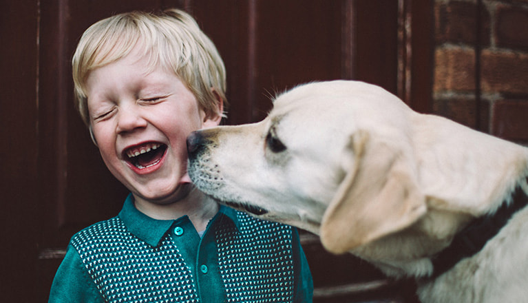 Dog licking a happy boys face