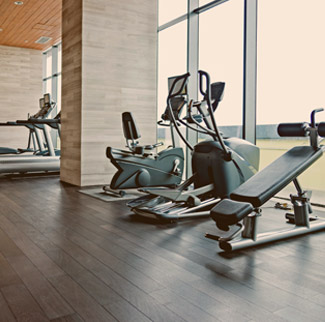 Gym equipment