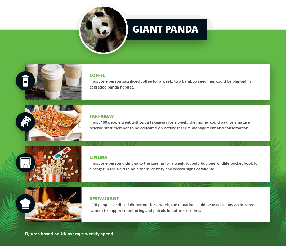 WWF Panda Stats