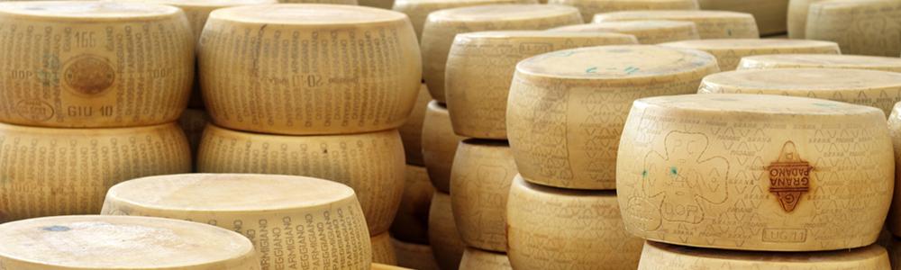Stack of parmesan wheels