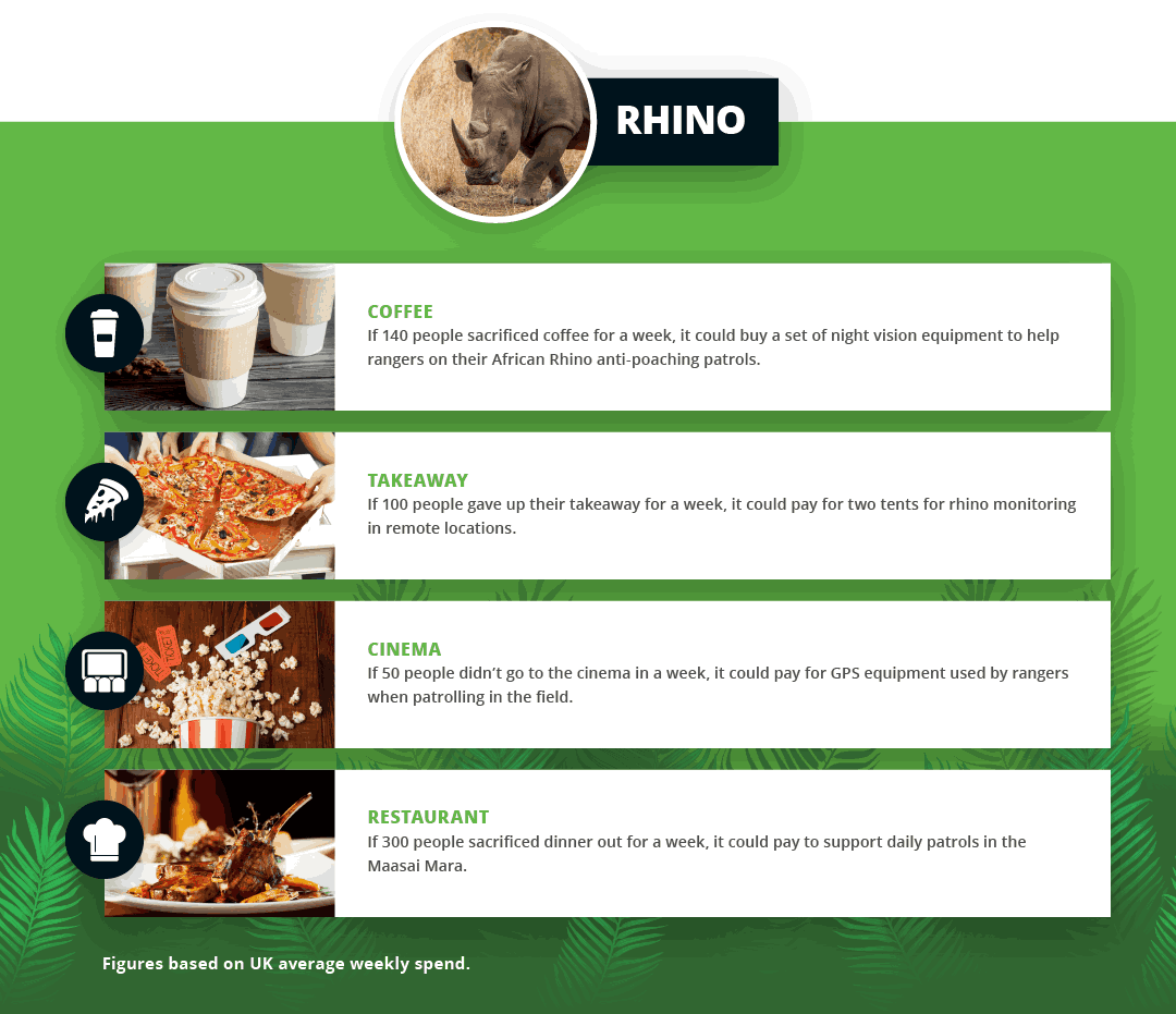 WWF Rhino Stats
