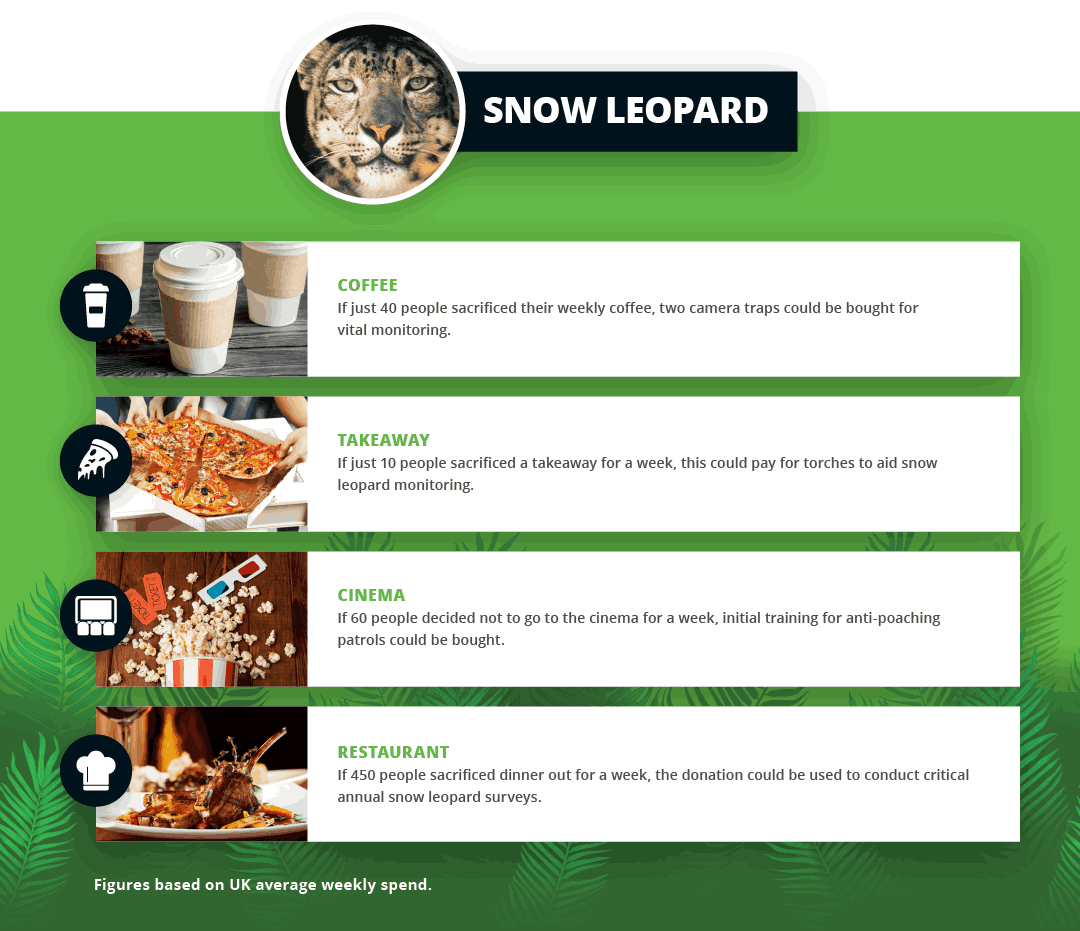 WWF Snow Leopard Stats