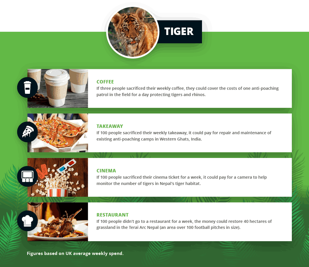 WWF Tiger Stats